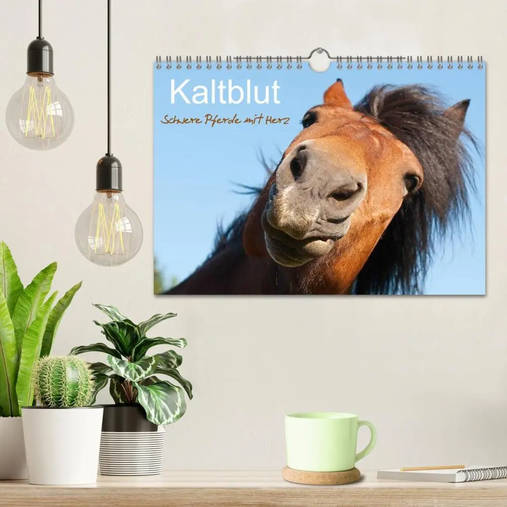 Bild: 9783435512775 | Kaltblut - schwere Pferde mit Herz (Wandkalender 2025 DIN A4 quer),...
