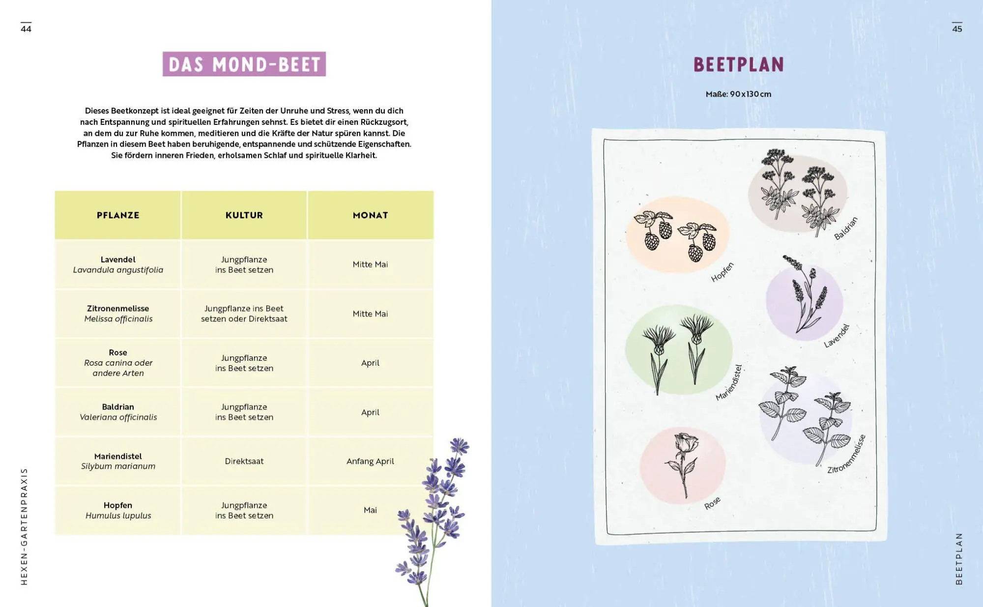 Bild: 9783745932775 | Gartenmomente: Magie im Garten | Taschenbuch | 80 S. | Deutsch | 2026
