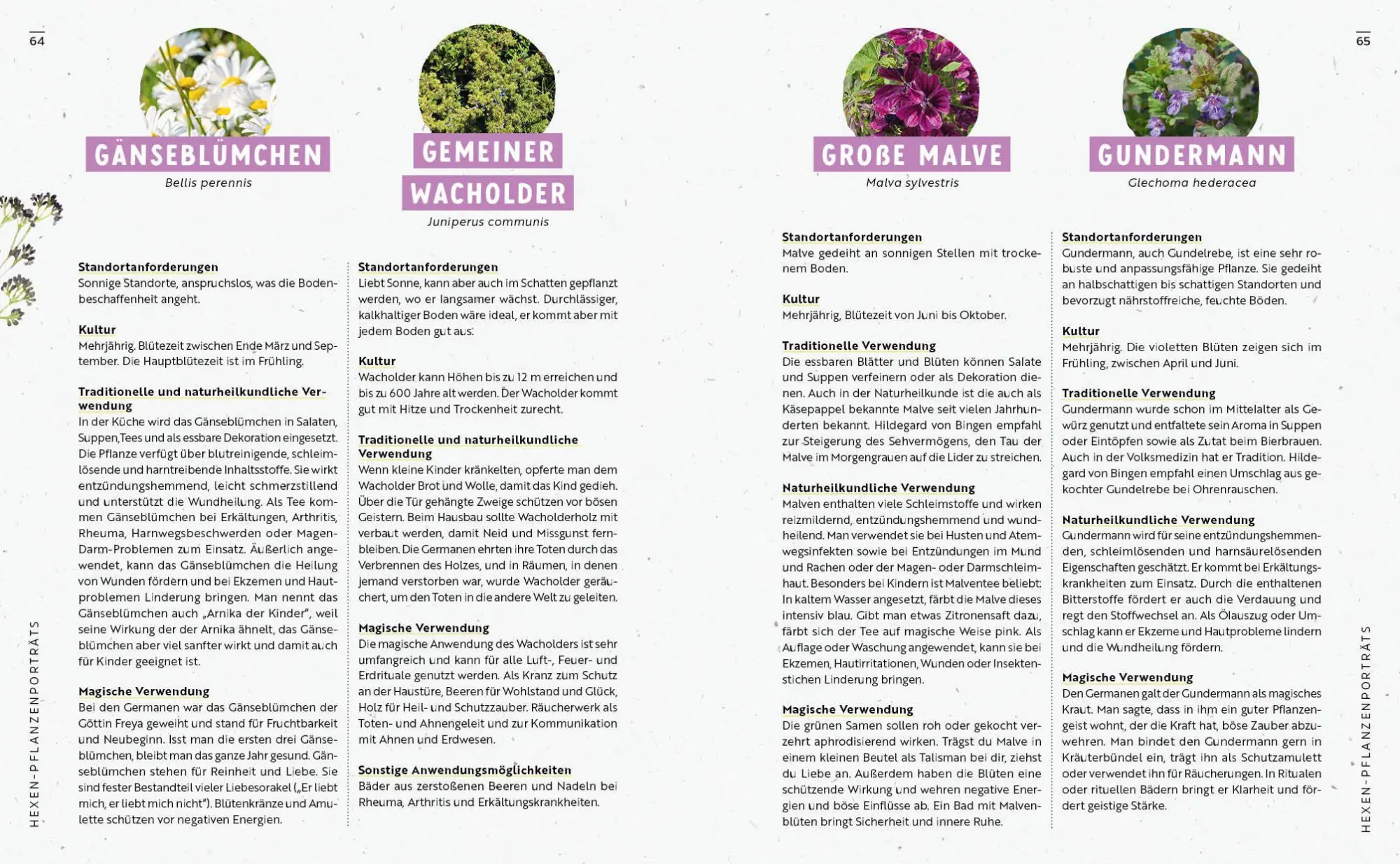 Bild: 9783745932775 | Gartenmomente: Magie im Garten | Taschenbuch | 80 S. | Deutsch | 2026