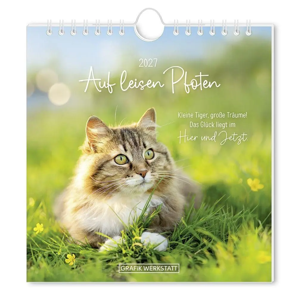 Cover: 9783986362775 | Postkartenkalender 2027 Auf leisen Pfoten | Postkartenkalender | 12 S.