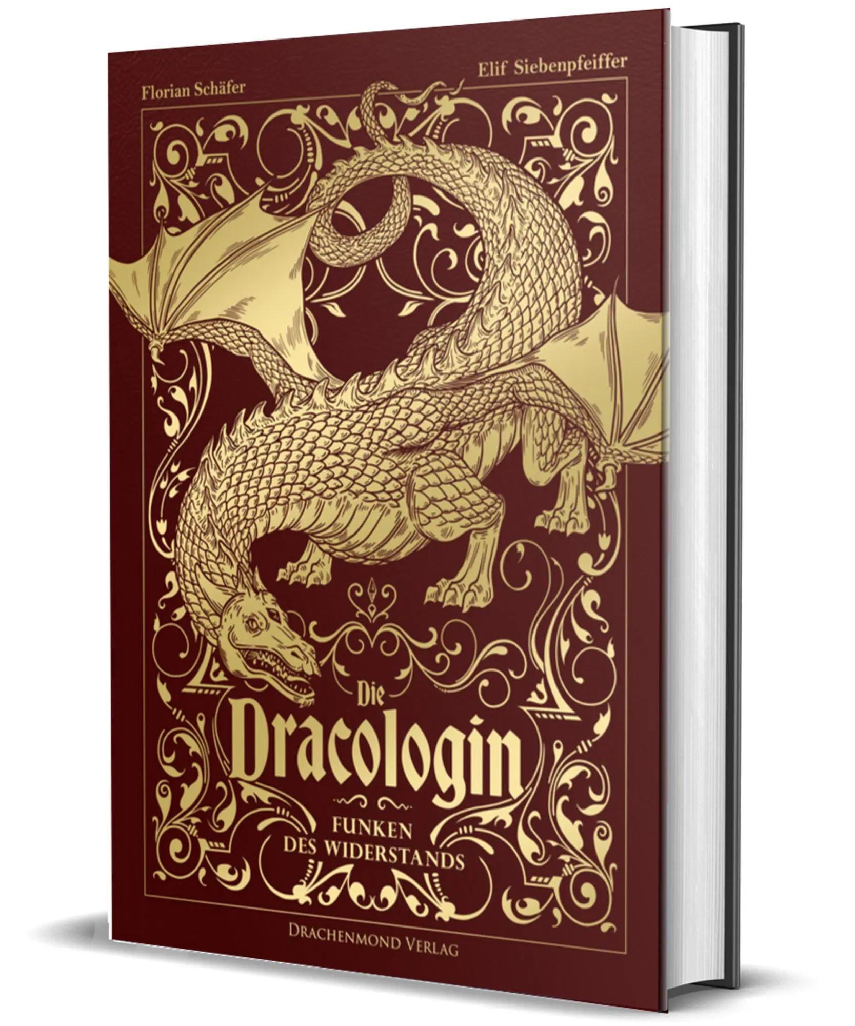 Cover: 9783691302875 | Die Dracologin - Funken des Widerstands | Florian Schäfer | Buch