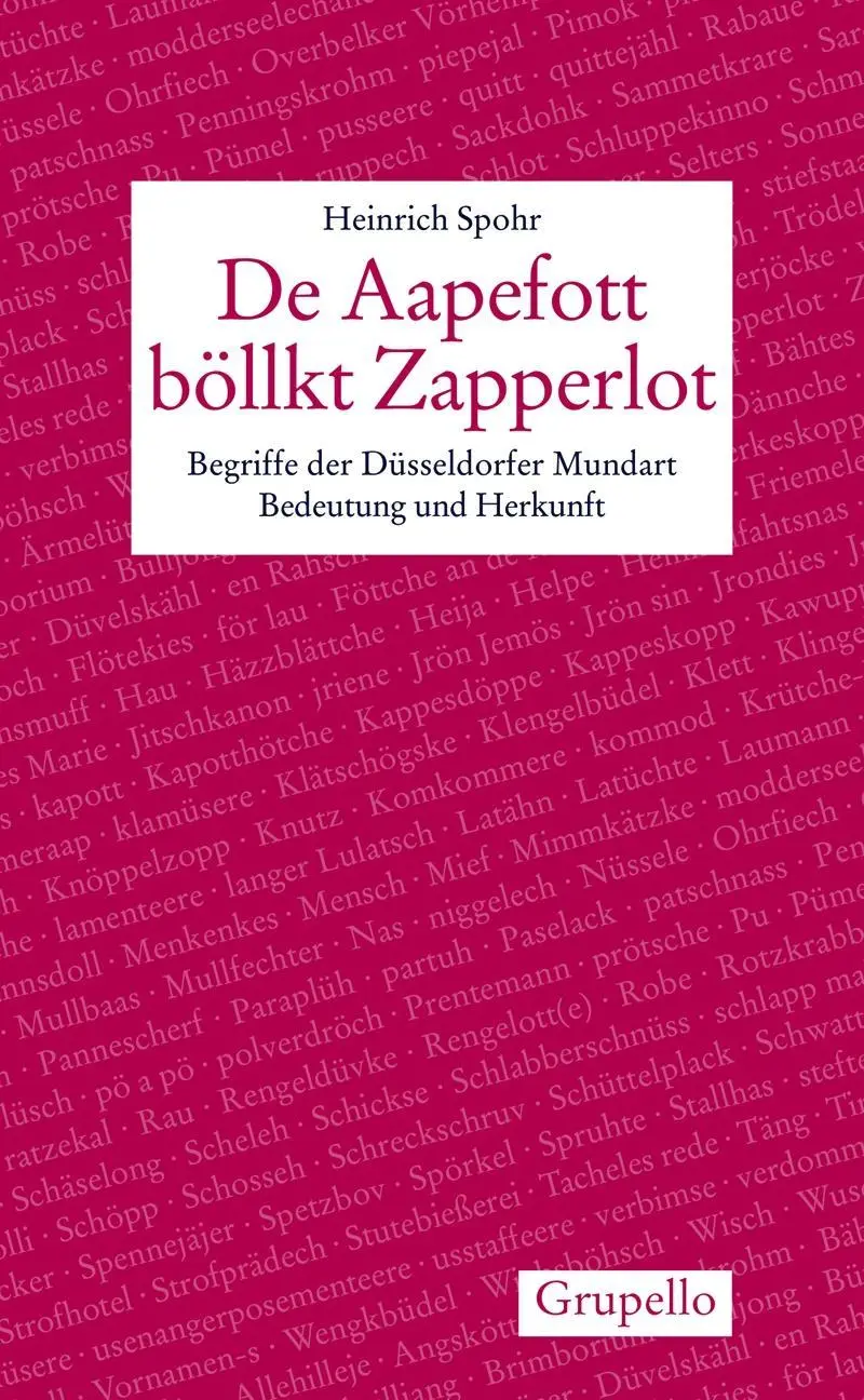Cover: 9783899782875 | De Aapefott böllkt Zapperlot | Heinrich Spohr | Taschenbuch | 176 S.