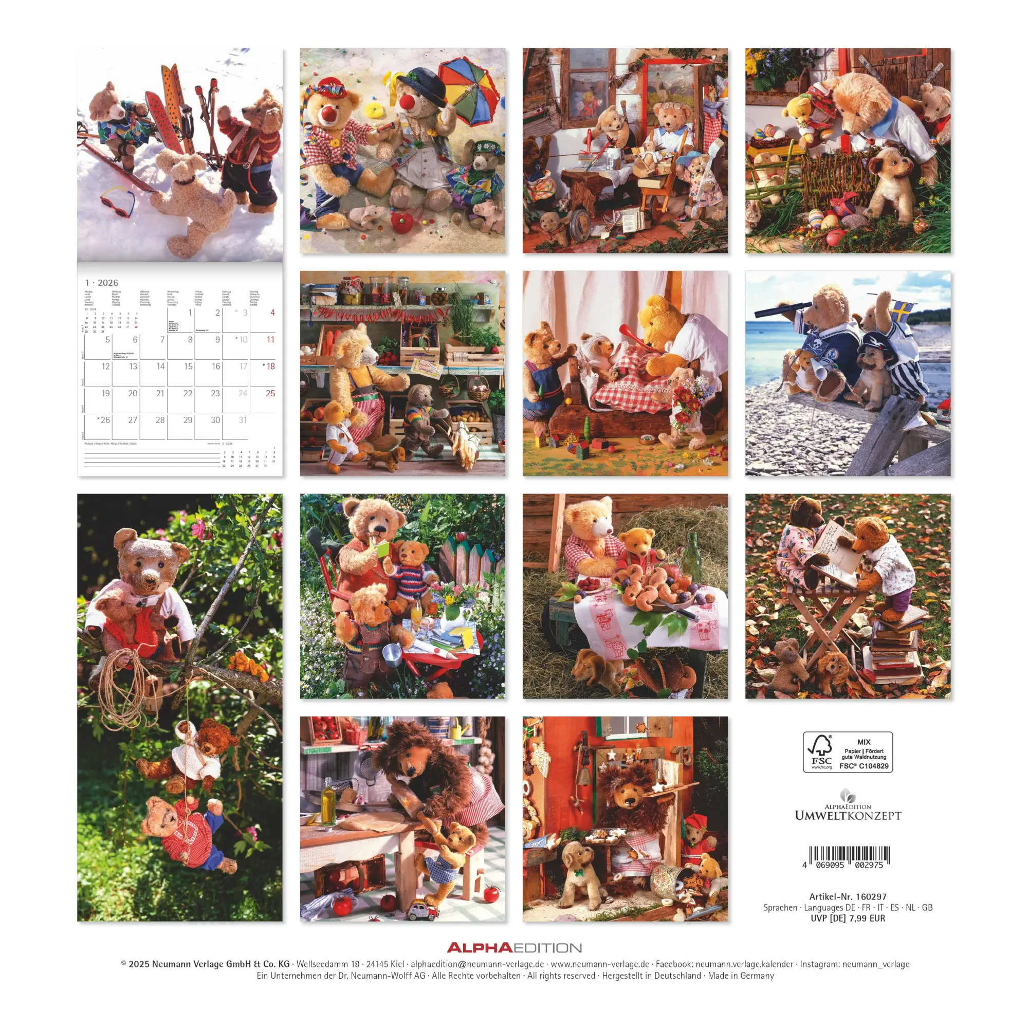 Rückseite: 4069095002975 | Teddy 2026 - Broschürenkalender 30x30 cm (30x60 geöffnet) -...