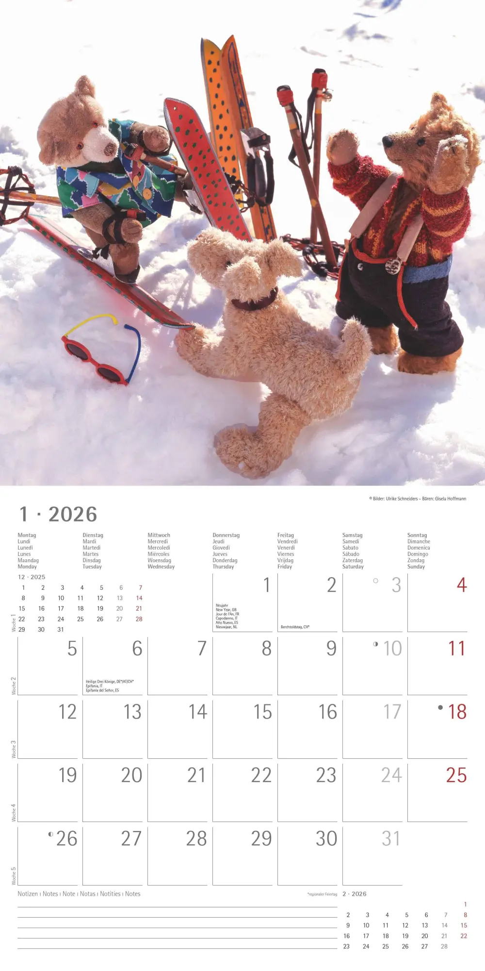 Bild: 4069095002975 | Teddy 2026 - Broschürenkalender 30x30 cm (30x60 geöffnet) -...
