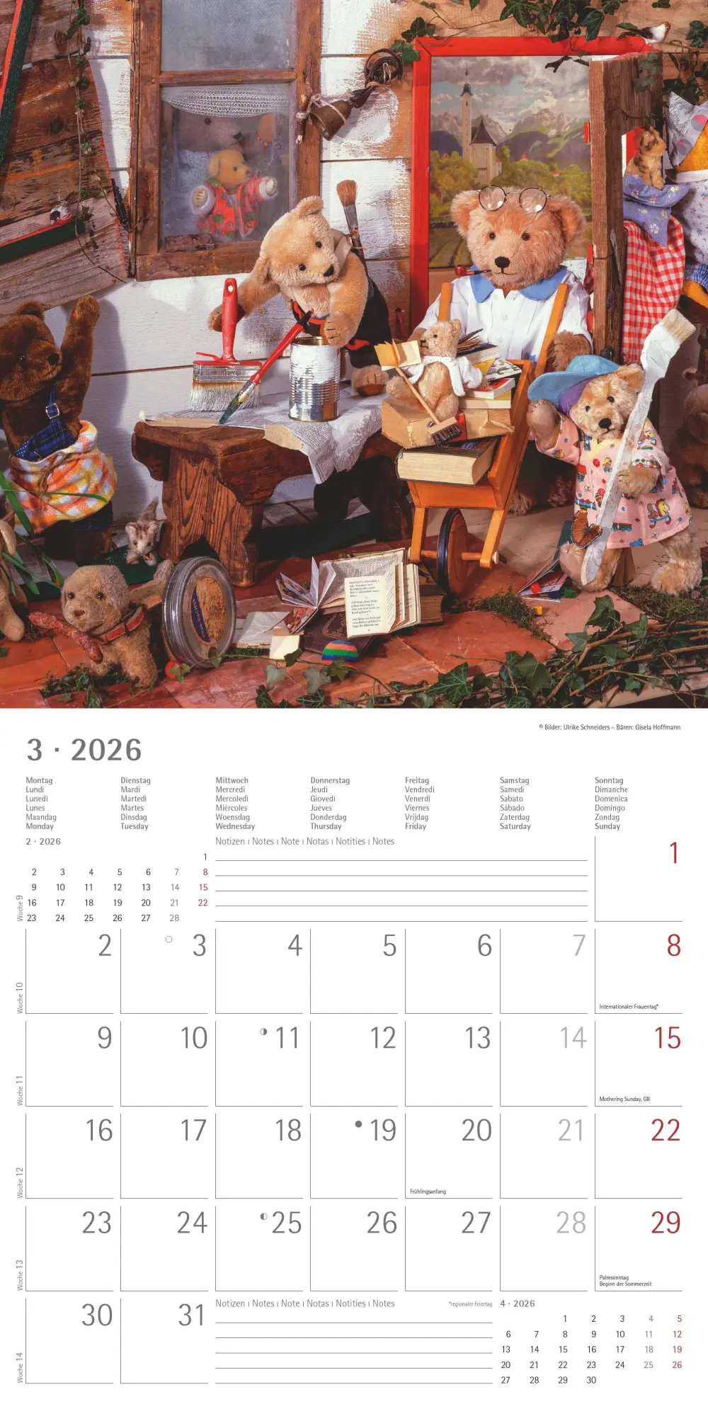Bild: 4069095002975 | Teddy 2026 - Broschürenkalender 30x30 cm (30x60 geöffnet) -...