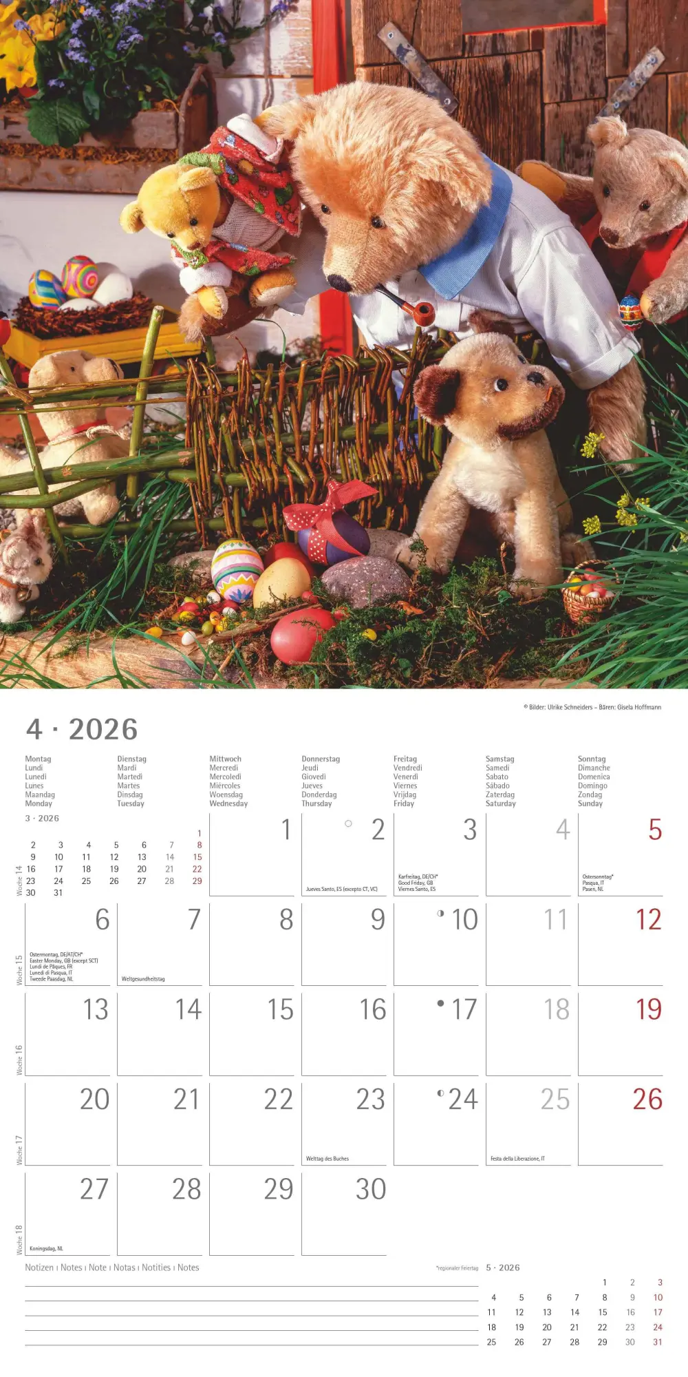 Bild: 4069095002975 | Teddy 2026 - Broschürenkalender 30x30 cm (30x60 geöffnet) -...