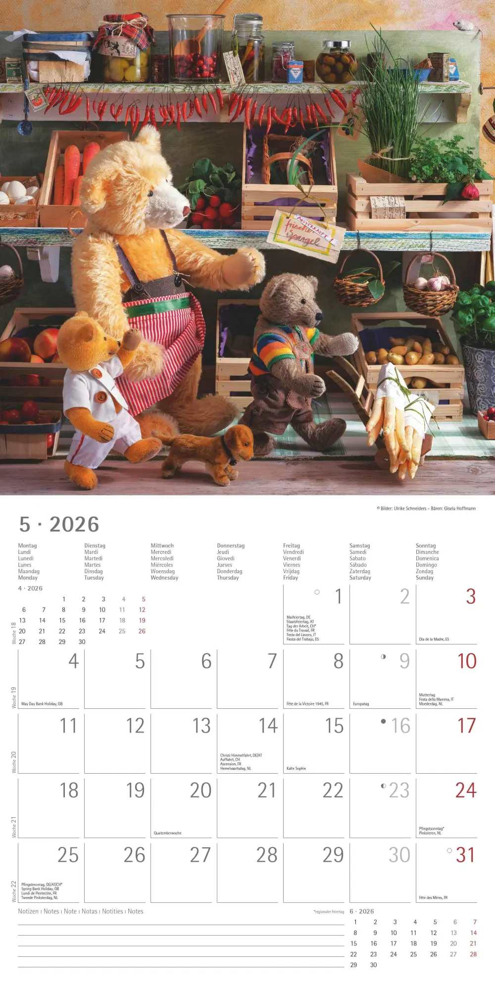 Bild: 4069095002975 | Teddy 2026 - Broschürenkalender 30x30 cm (30x60 geöffnet) -...