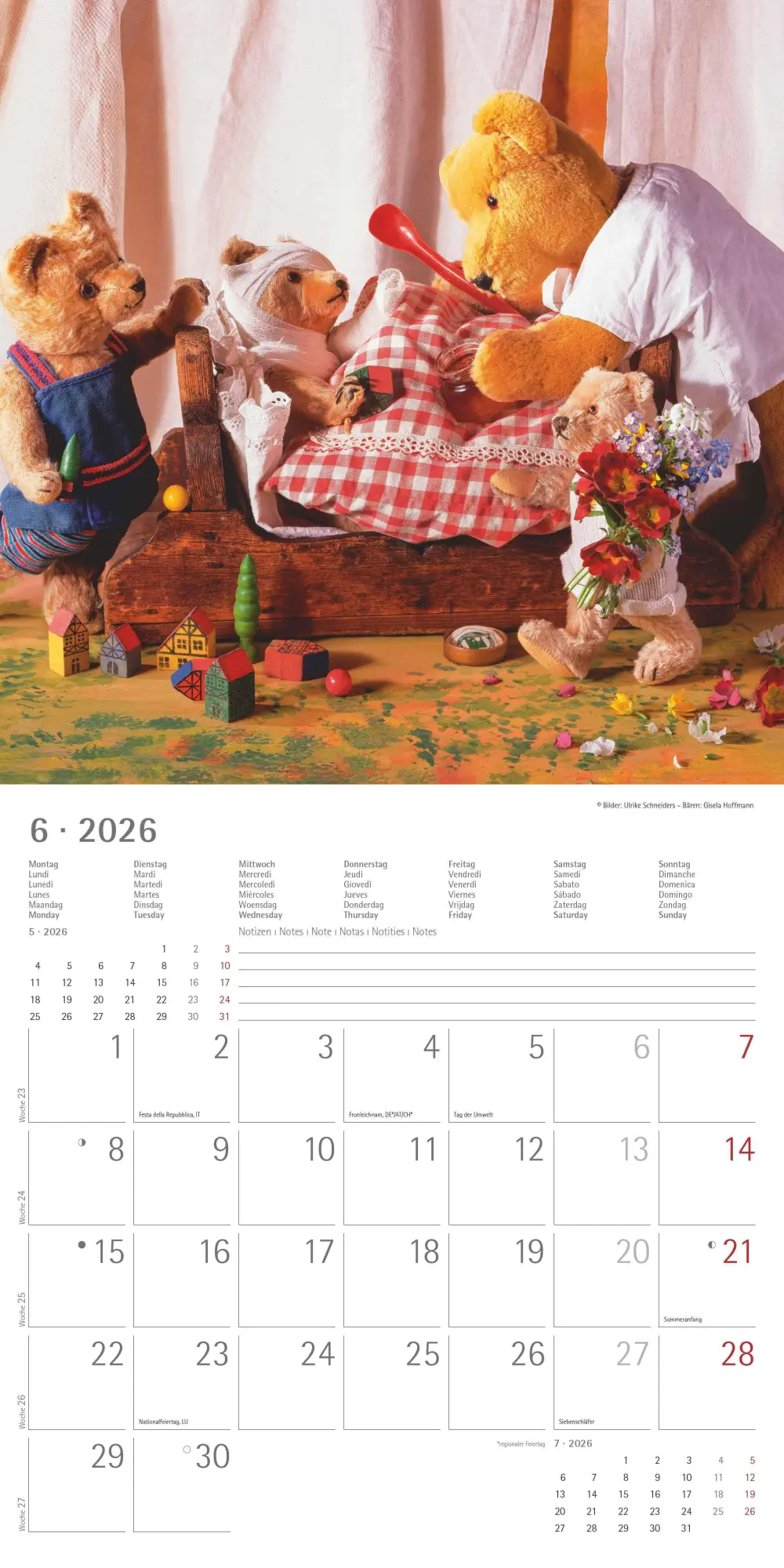 Bild: 4069095002975 | Teddy 2026 - Broschürenkalender 30x30 cm (30x60 geöffnet) -...
