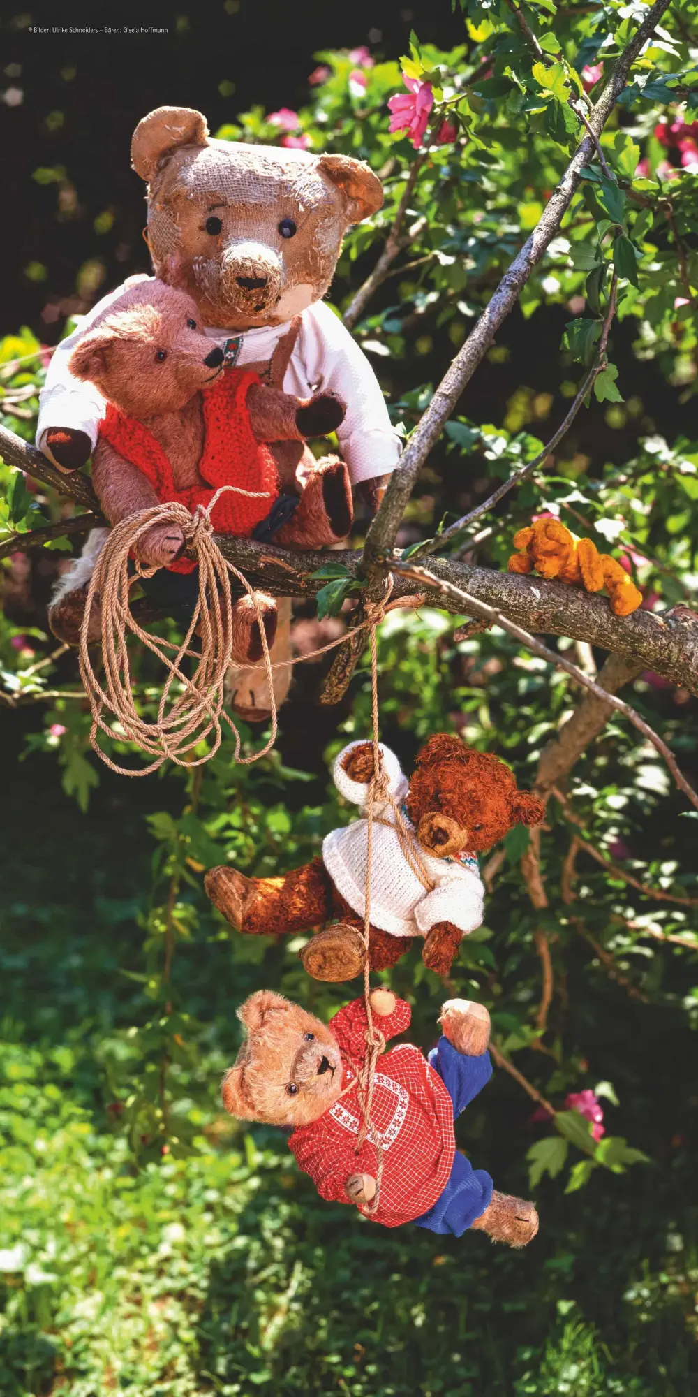 Bild: 4069095002975 | Teddy 2026 - Broschürenkalender 30x30 cm (30x60 geöffnet) -...
