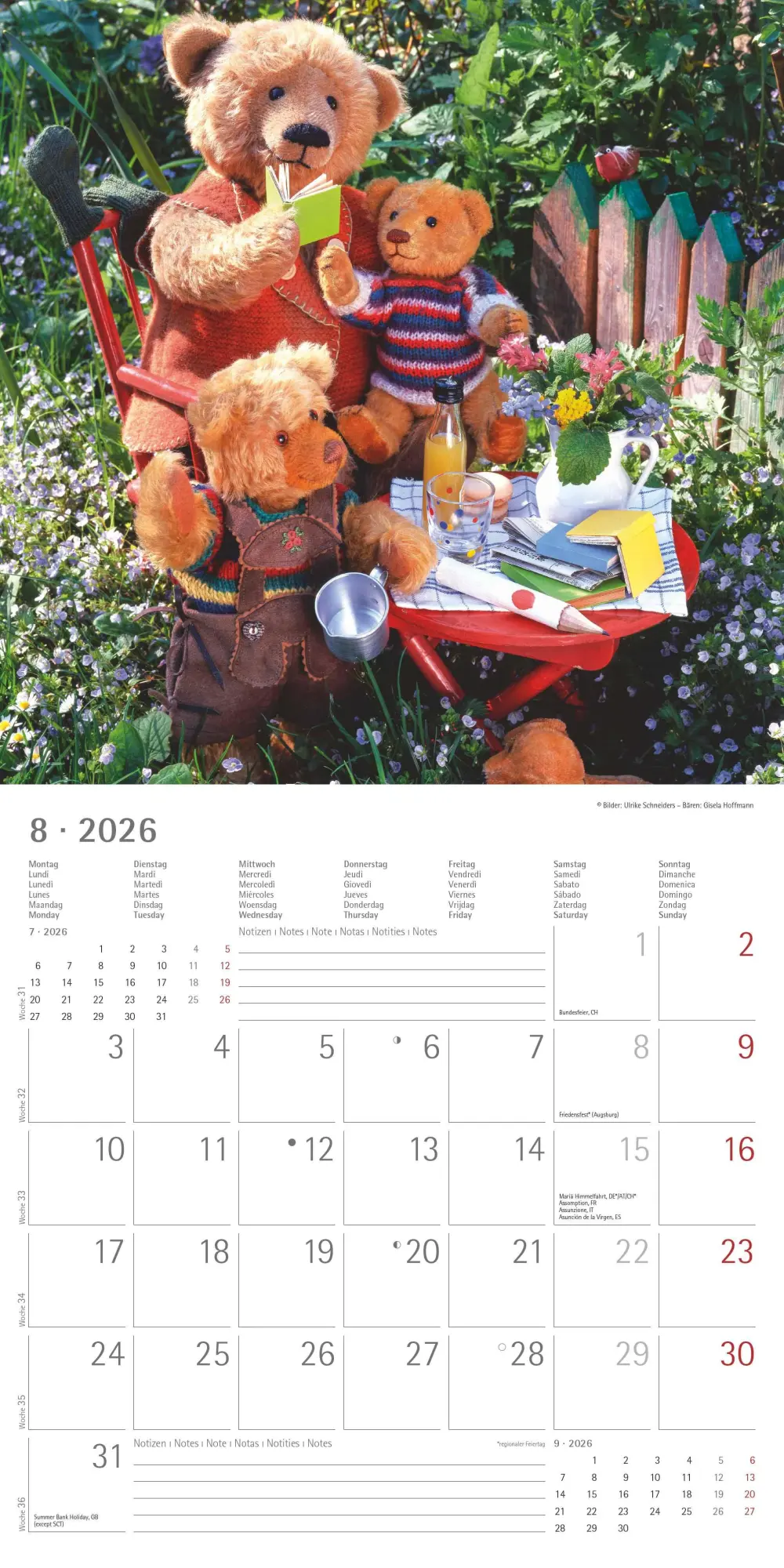 Bild: 4069095002975 | Teddy 2026 - Broschürenkalender 30x30 cm (30x60 geöffnet) -...