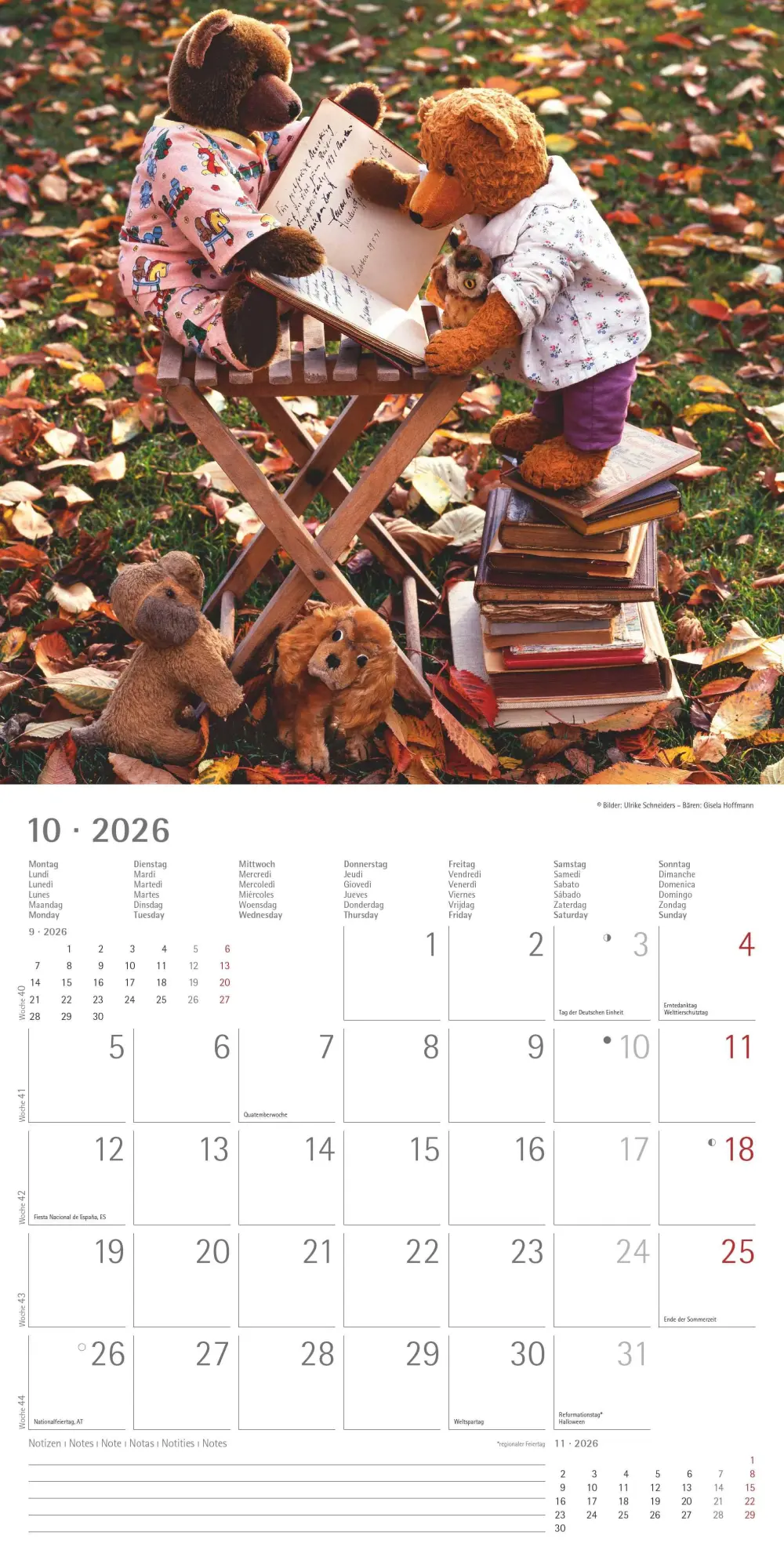 Bild: 4069095002975 | Teddy 2026 - Broschürenkalender 30x30 cm (30x60 geöffnet) -...
