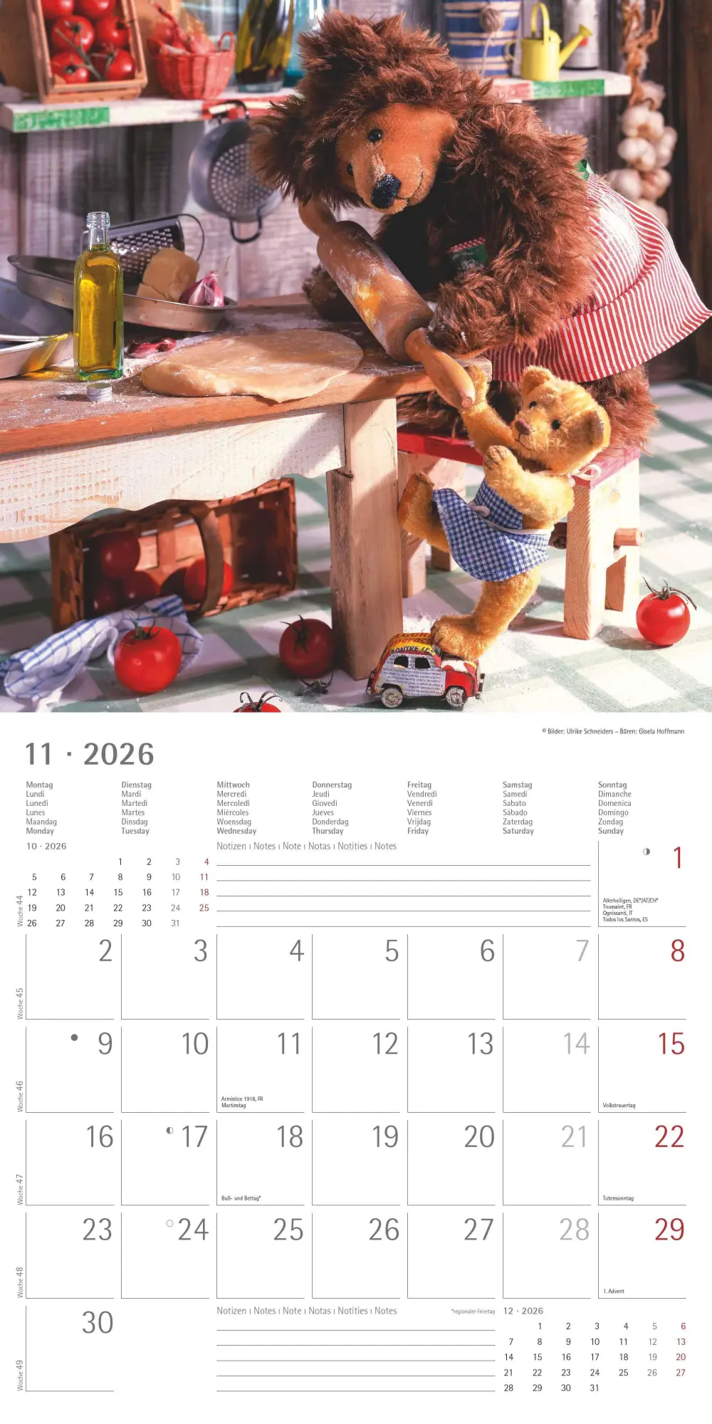 Bild: 4069095002975 | Teddy 2026 - Broschürenkalender 30x30 cm (30x60 geöffnet) -...