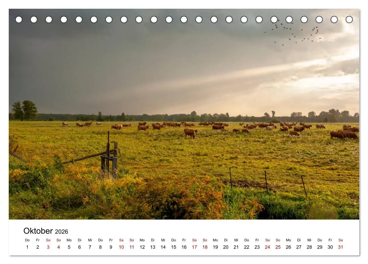 Bild: 9783457682975 | Unterwegs im Spreewald (Tischkalender 2026 DIN A5 quer), CALVENDO...