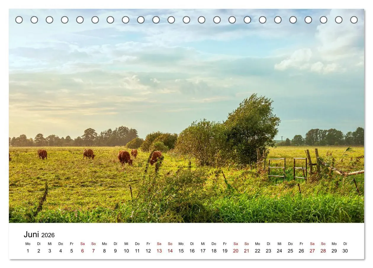 Bild: 9783457682975 | Unterwegs im Spreewald (Tischkalender 2026 DIN A5 quer), CALVENDO...