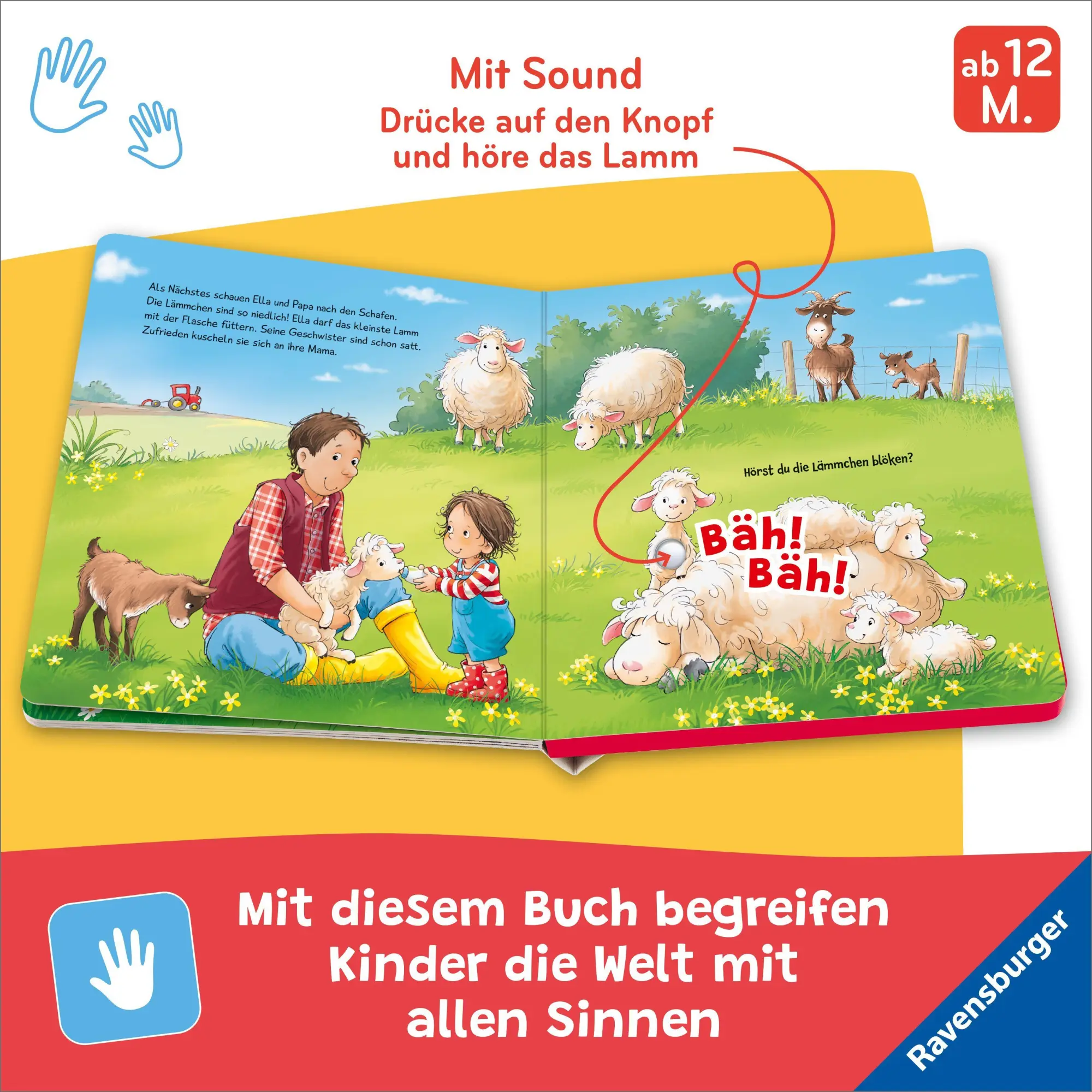 Bild: 9783473422975 | Hör mal hin - Wer kräht hier? Auf dem Bauernhof | Maria Höck | Buch