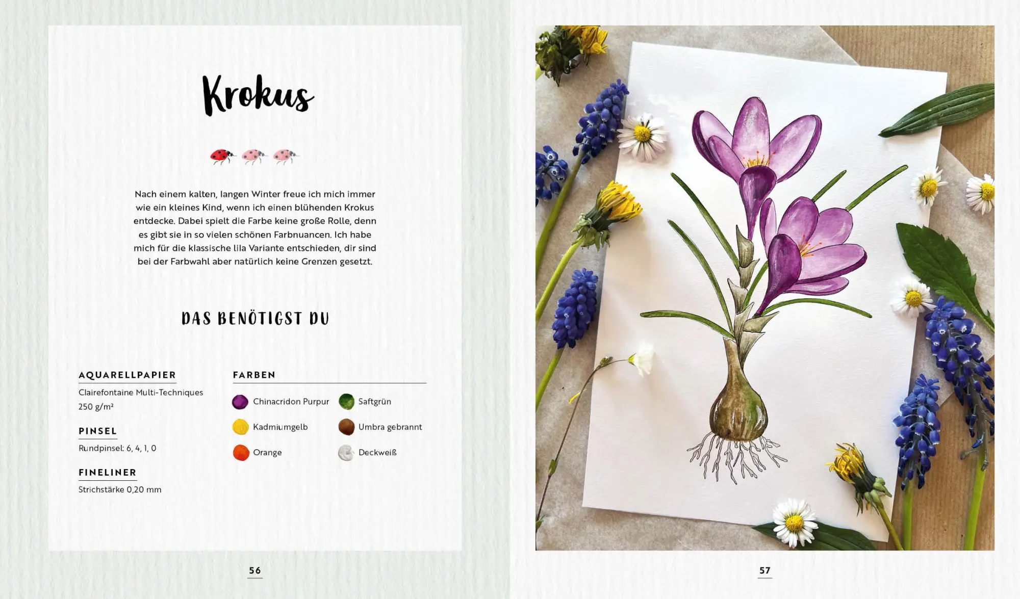 Bild: 9783745912975 | Watercolor Wald und Wiese | Stefanie Eberhard | Buch | 128 S. | 2022