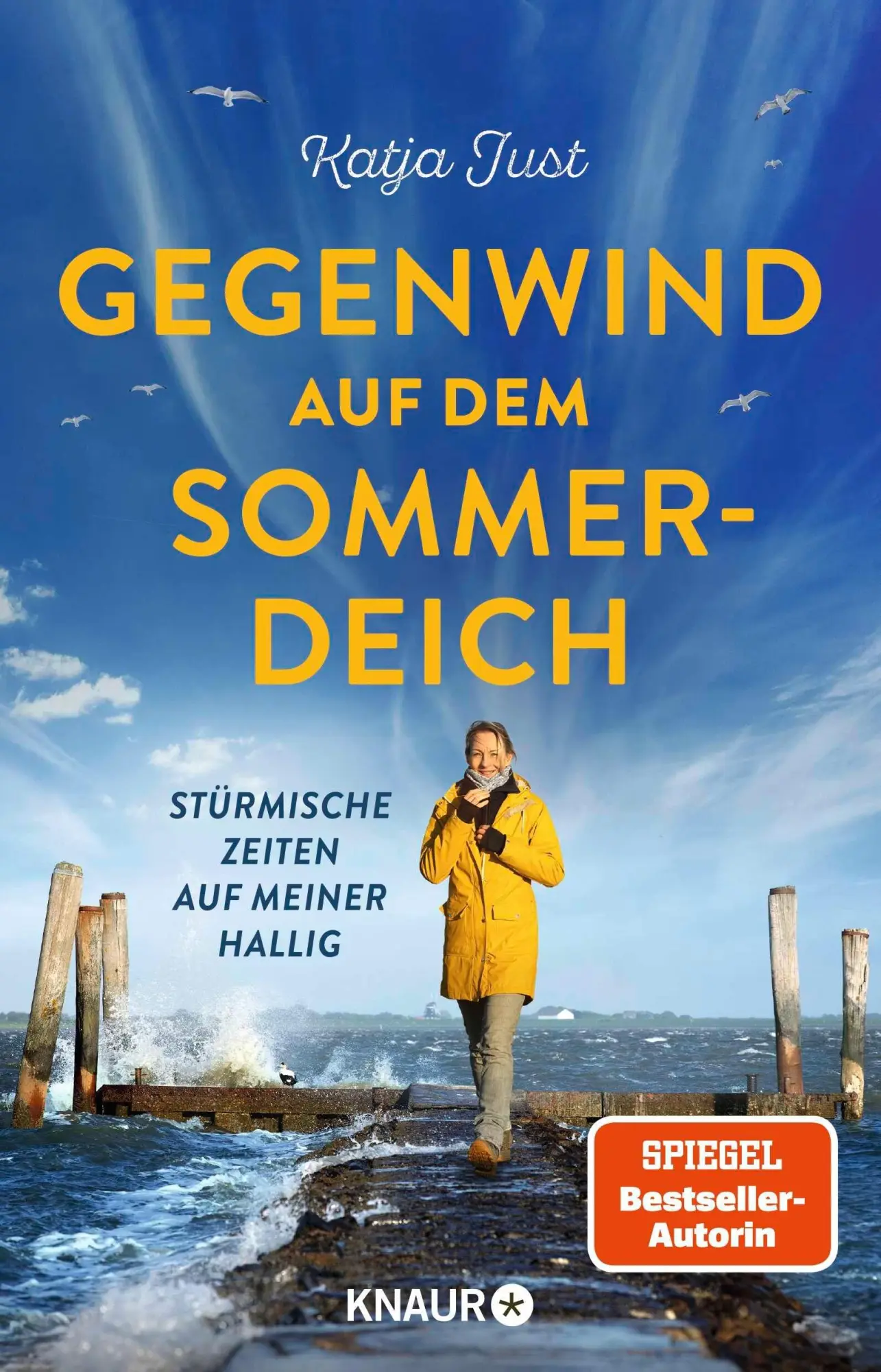 Cover: 9783426573075 | Gegenwind auf dem Sommerdeich | Stürmische Zeiten auf meiner Hallig