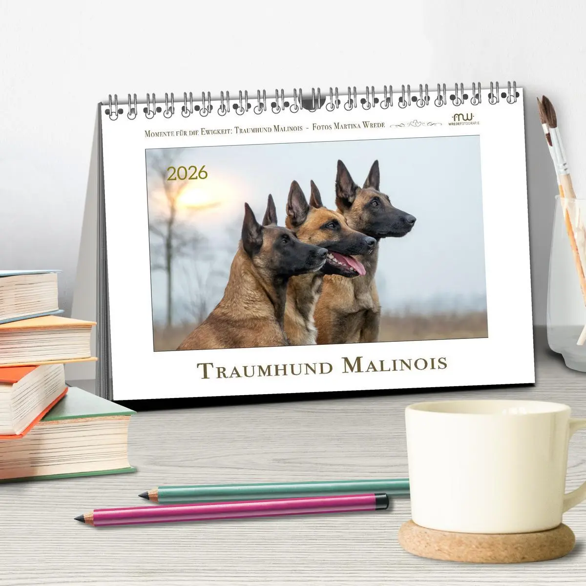 Bild: 9783457263075 | Traumhund Malinois (Tischkalender 2026 DIN A5 quer), CALVENDO...