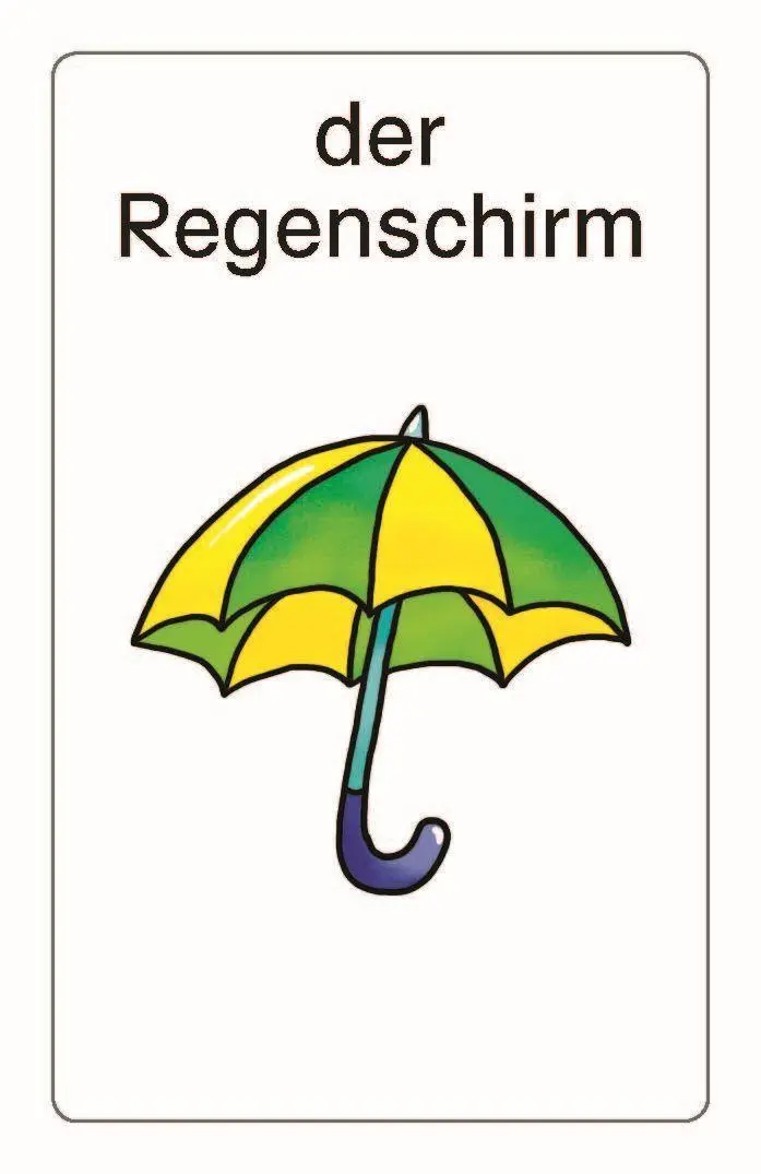 Bild: 4006810703175 | Schubicards. Pluralformen 1 | 1. Schuljahr bis 4. Schuljahr | Wächter