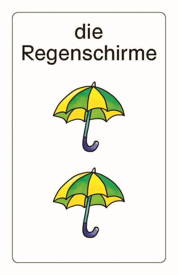 Bild: 4006810703175 | Schubicards. Pluralformen 1 | 1. Schuljahr bis 4. Schuljahr | Wächter