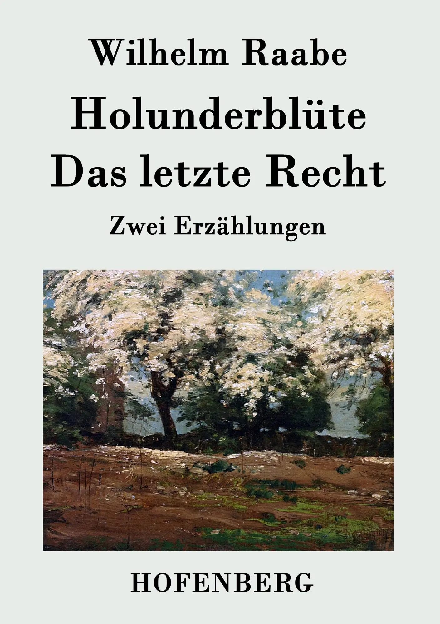 Cover: 9783843043175 | Holunderblüte / Das letzte Recht | Zwei Erzählungen | Wilhelm Raabe