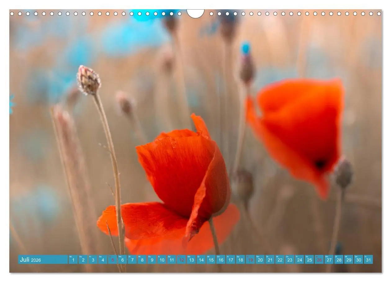 Bild: 9783457933275 | Mohnblumen - Fotografie mit Magie (Wandkalender 2026 DIN A3 quer),...