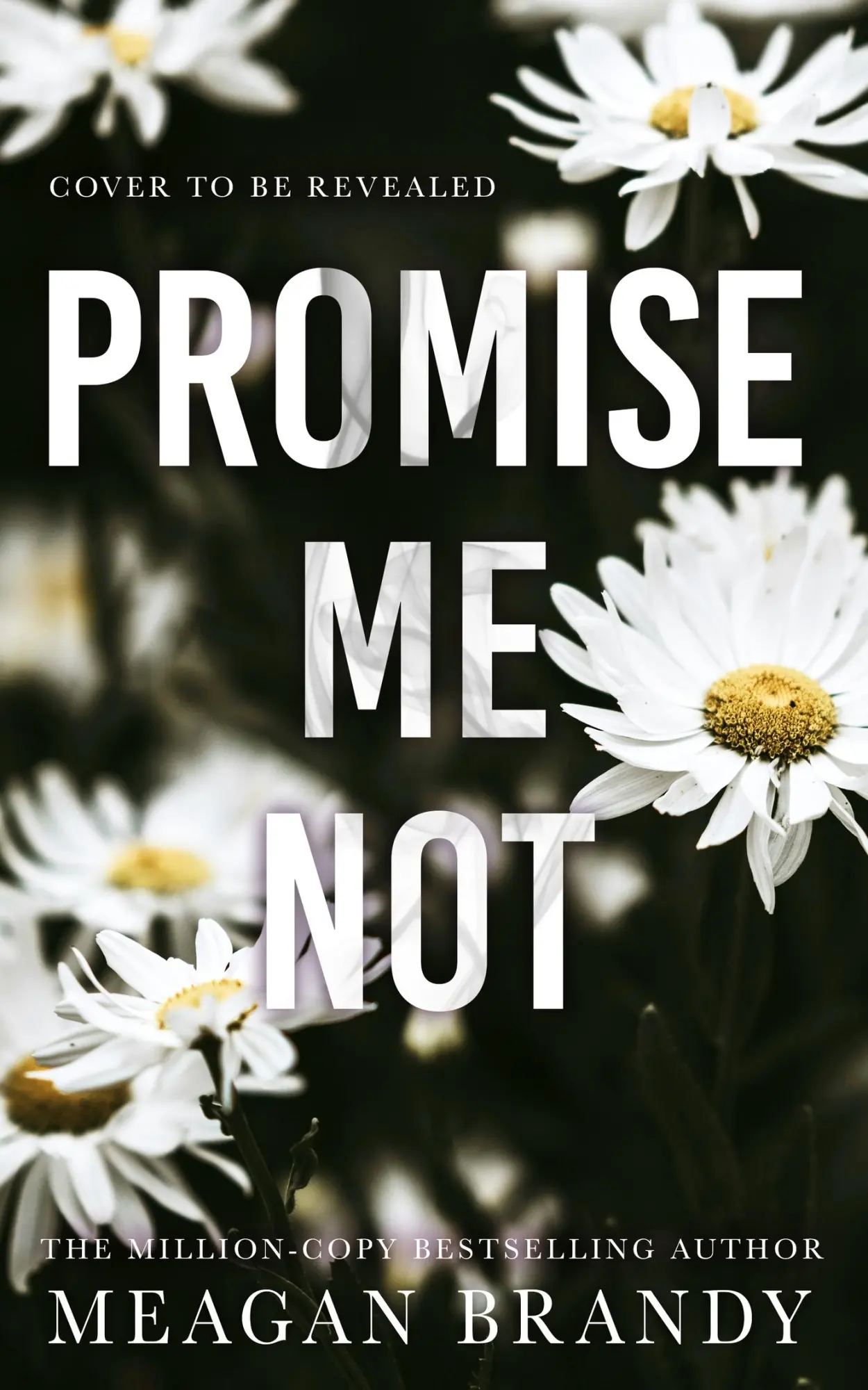 Cover: 9781398723375 | Promise Me Not | Meagan Brandy | Taschenbuch | Boys of Avix | 400 S.
