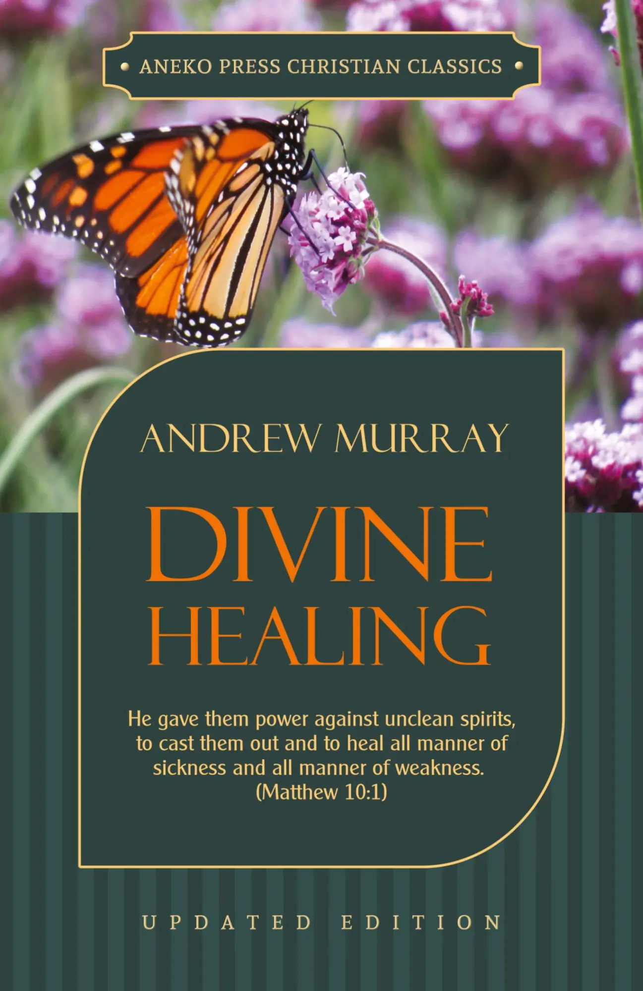 Cover: 9781622453375 | Divine Healing | Andrew Murray | Taschenbuch | Kartoniert / Broschiert