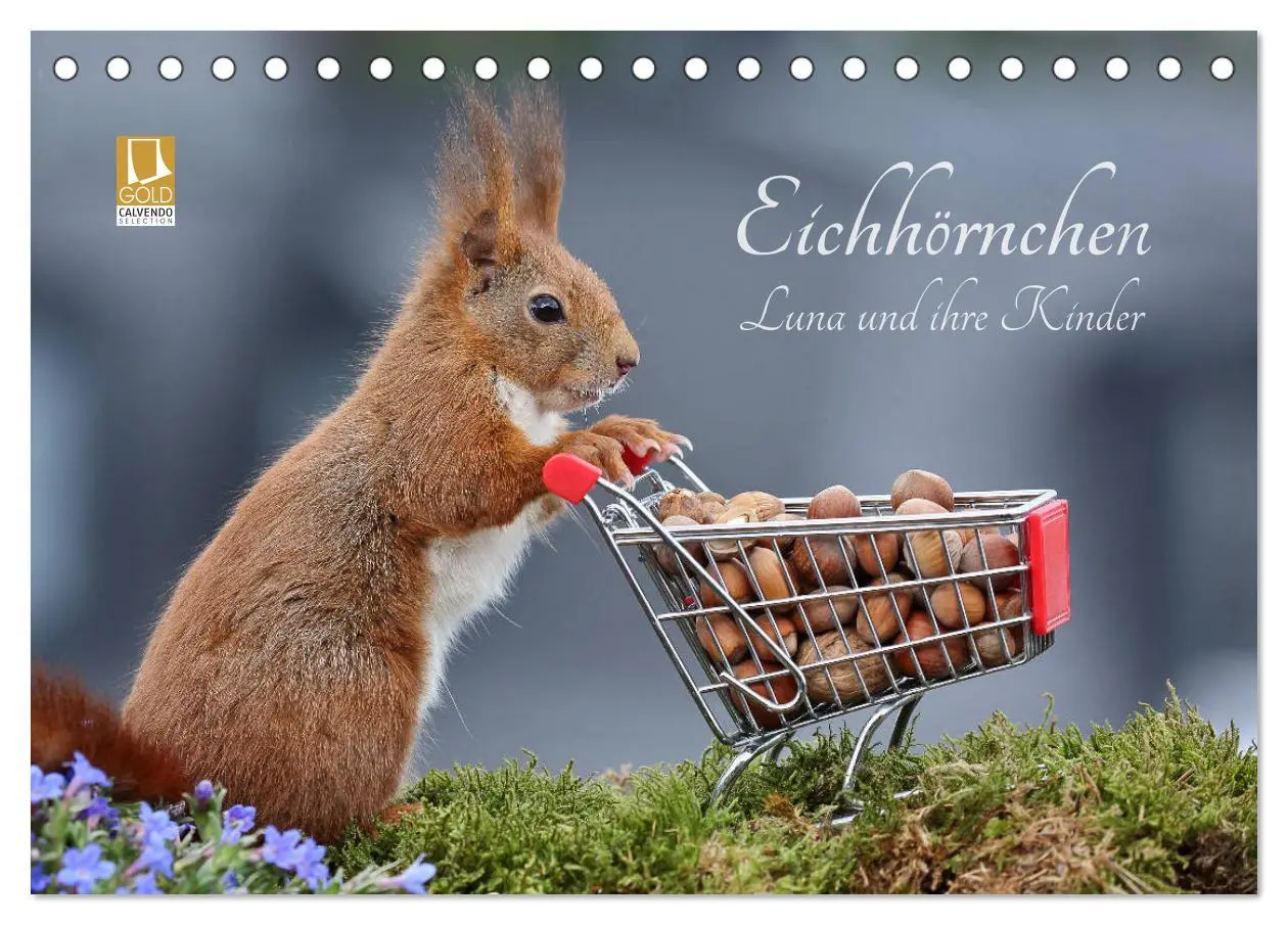Cover: 9783457843475 | Eichhörnchen Luna und ihre Kinder (Tischkalender 2026 DIN A5 quer),...