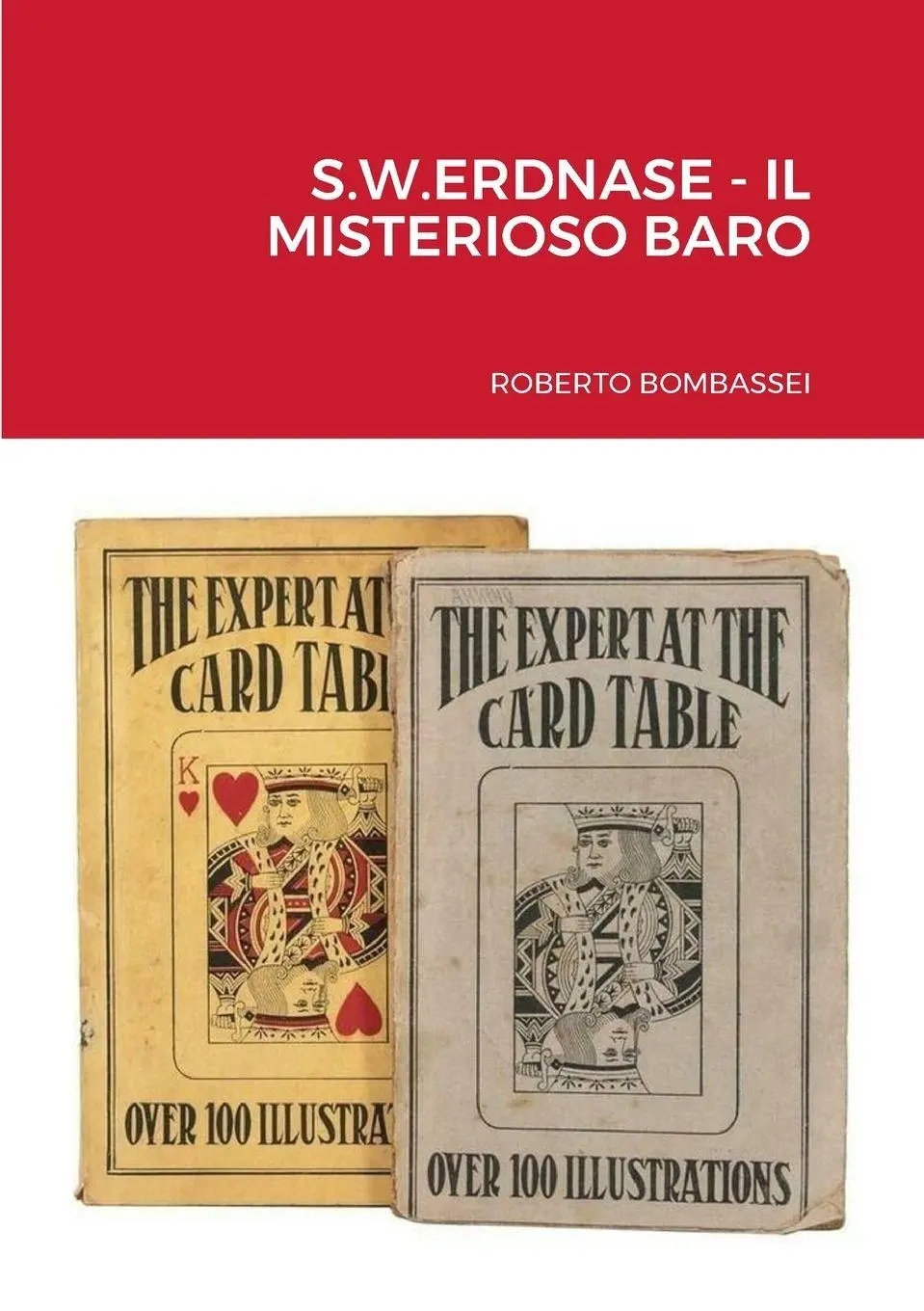 Cover: 9781447753575 | S.W.ERDNASE - IL MISTERIOSO BARO | Roberto Bombassei | Taschenbuch