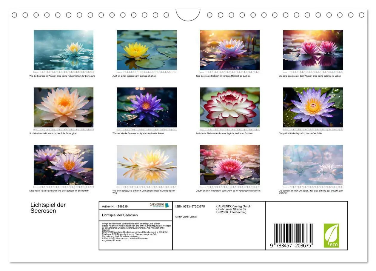 Bild: 9783457203675 | Lichtspiel der Seerosen (Wandkalender 2025 DIN A4 quer), CALVENDO...