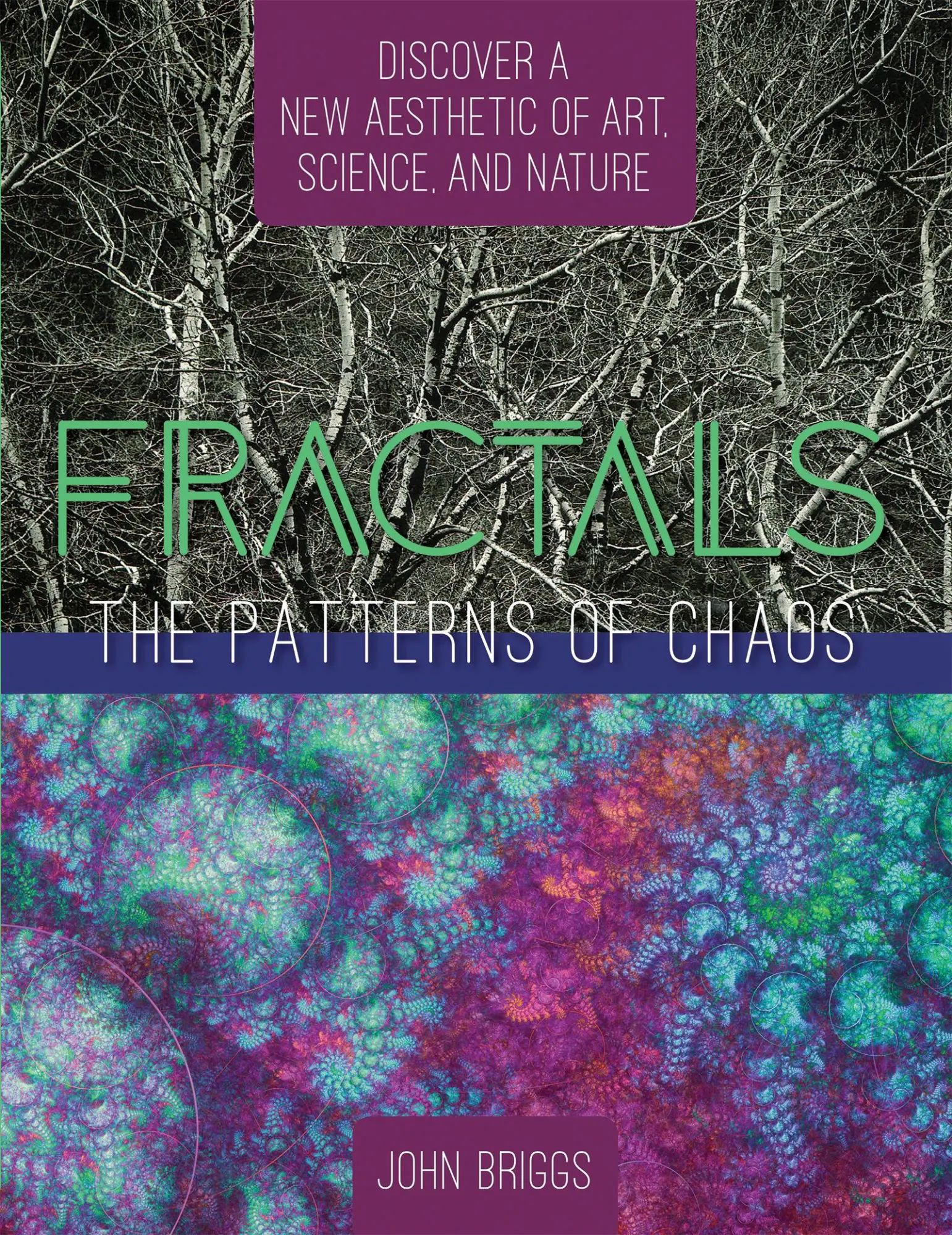 Cover: 9781626543775 | Fractals | John Briggs | Buch | Gebunden | Englisch | 2015