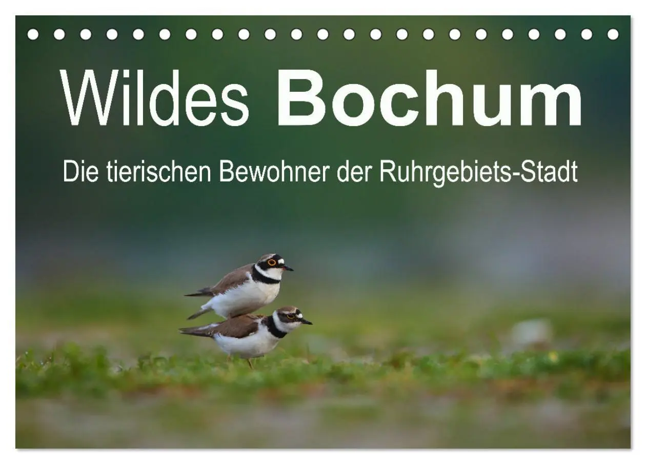 Cover: 9783457503775 | Wildes Bochum (Tischkalender 2026 DIN A5 quer), CALVENDO...