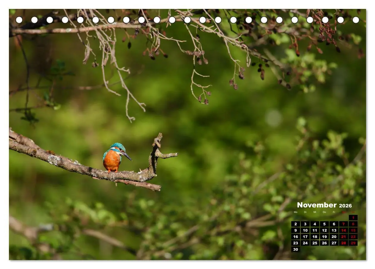 Bild: 9783457503775 | Wildes Bochum (Tischkalender 2026 DIN A5 quer), CALVENDO...