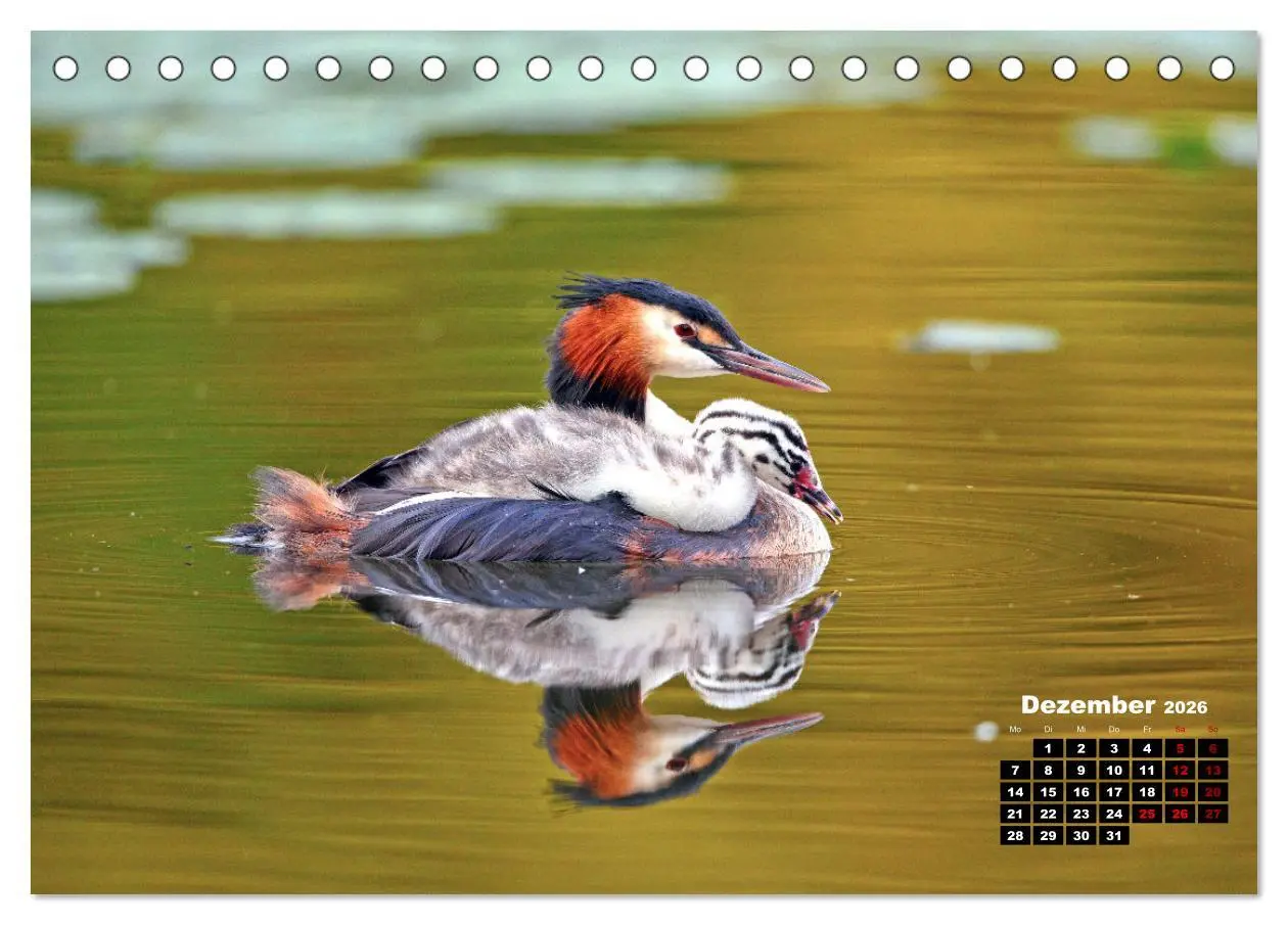 Bild: 9783457503775 | Wildes Bochum (Tischkalender 2026 DIN A5 quer), CALVENDO...