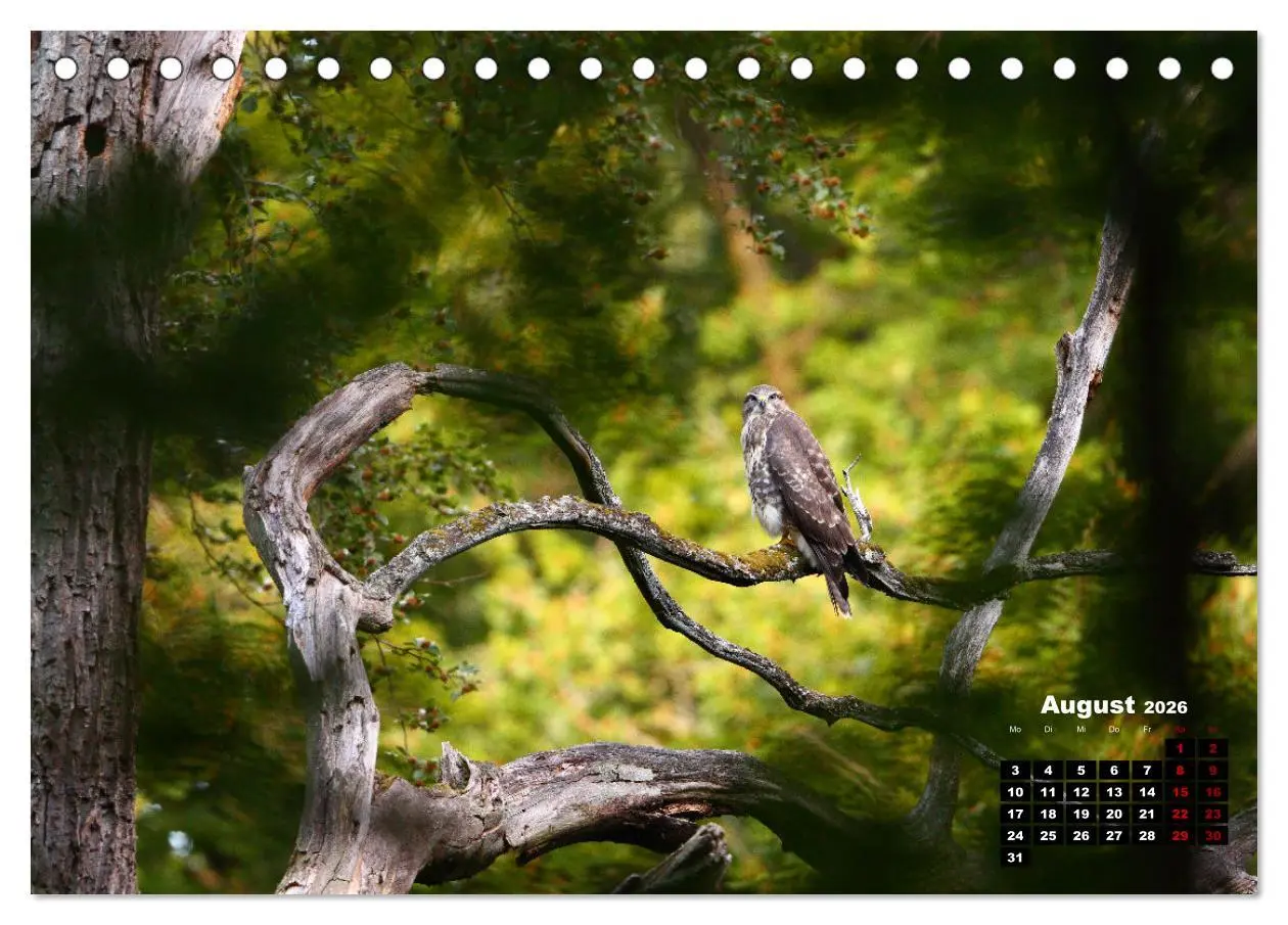 Bild: 9783457503775 | Wildes Bochum (Tischkalender 2026 DIN A5 quer), CALVENDO...
