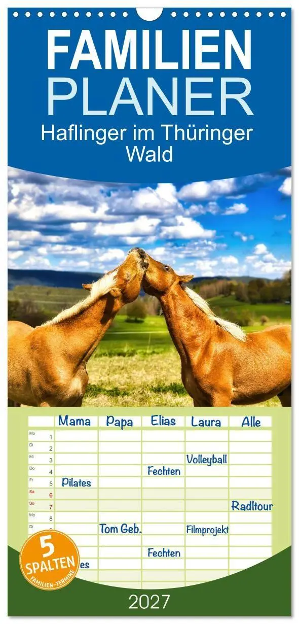 Cover: 9783594293775 | Familienplaner 2027 - Haflinger im Thüringer Wald mit 5 Spalten...