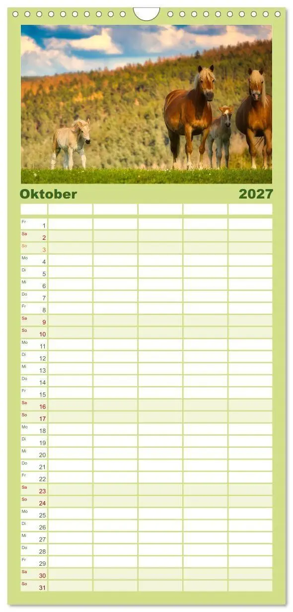 Bild: 9783594293775 | Familienplaner 2027 - Haflinger im Thüringer Wald mit 5 Spalten...