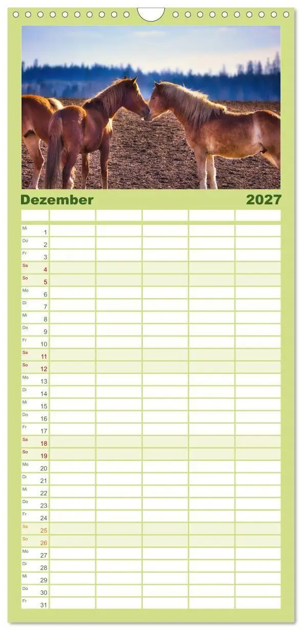 Bild: 9783594293775 | Familienplaner 2027 - Haflinger im Thüringer Wald mit 5 Spalten...