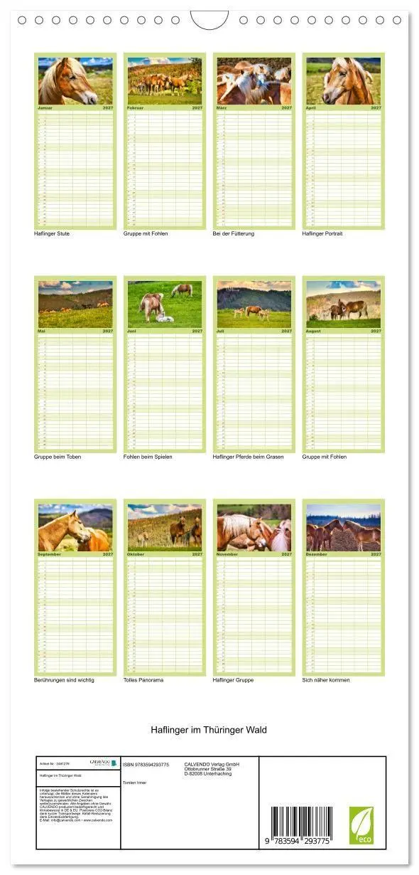 Bild: 9783594293775 | Familienplaner 2027 - Haflinger im Thüringer Wald mit 5 Spalten...