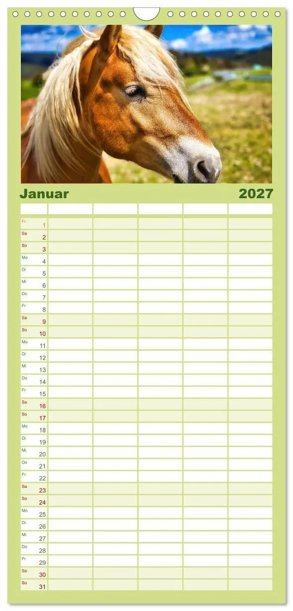 Bild: 9783594293775 | Familienplaner 2027 - Haflinger im Thüringer Wald mit 5 Spalten...
