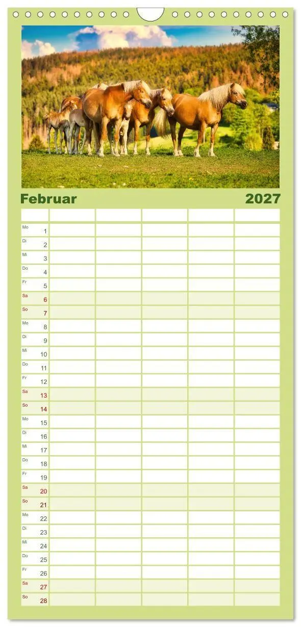 Bild: 9783594293775 | Familienplaner 2027 - Haflinger im Thüringer Wald mit 5 Spalten...