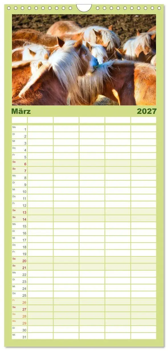 Bild: 9783594293775 | Familienplaner 2027 - Haflinger im Thüringer Wald mit 5 Spalten...