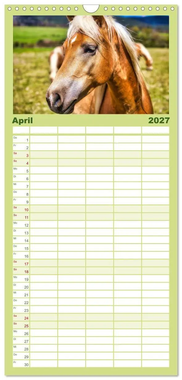 Bild: 9783594293775 | Familienplaner 2027 - Haflinger im Thüringer Wald mit 5 Spalten...