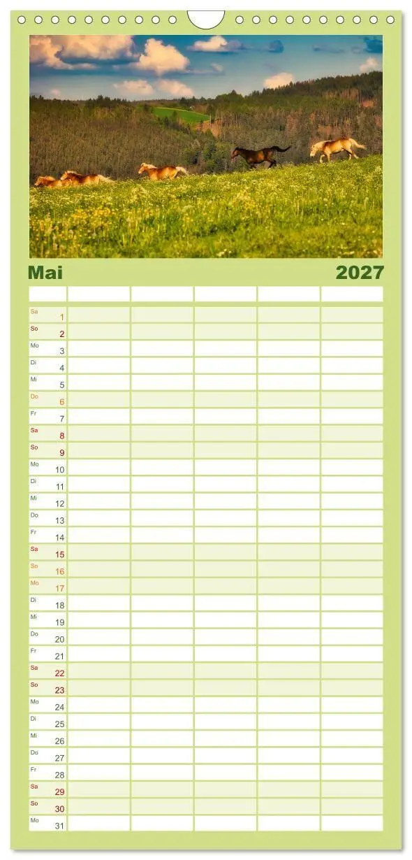 Bild: 9783594293775 | Familienplaner 2027 - Haflinger im Thüringer Wald mit 5 Spalten...