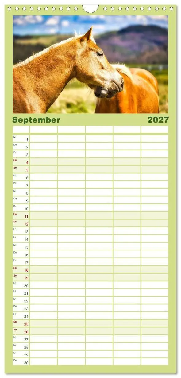 Bild: 9783594293775 | Familienplaner 2027 - Haflinger im Thüringer Wald mit 5 Spalten...