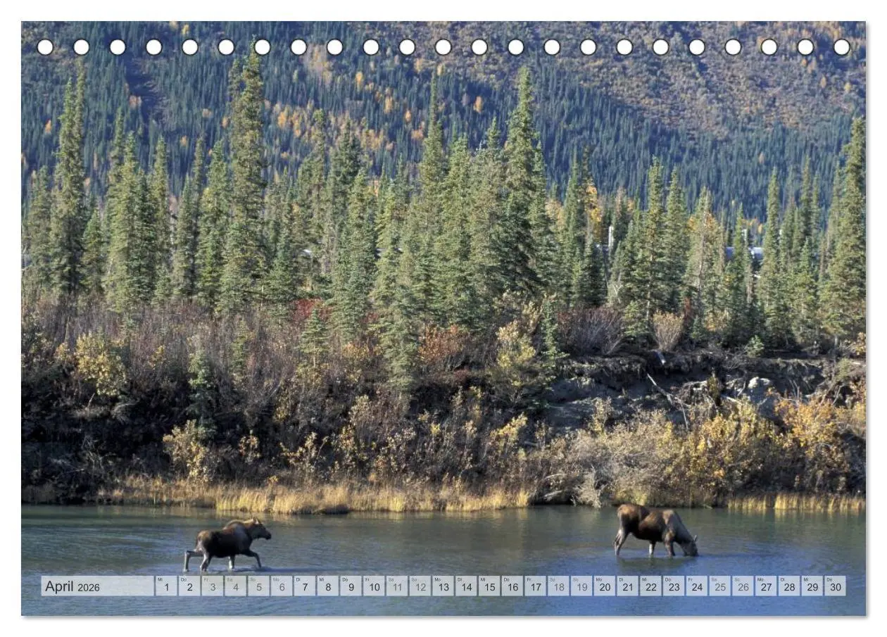 Bild: 9783516133875 | Wildes Alaska Christian Heeb (Tischkalender 2026 DIN A5 quer),...