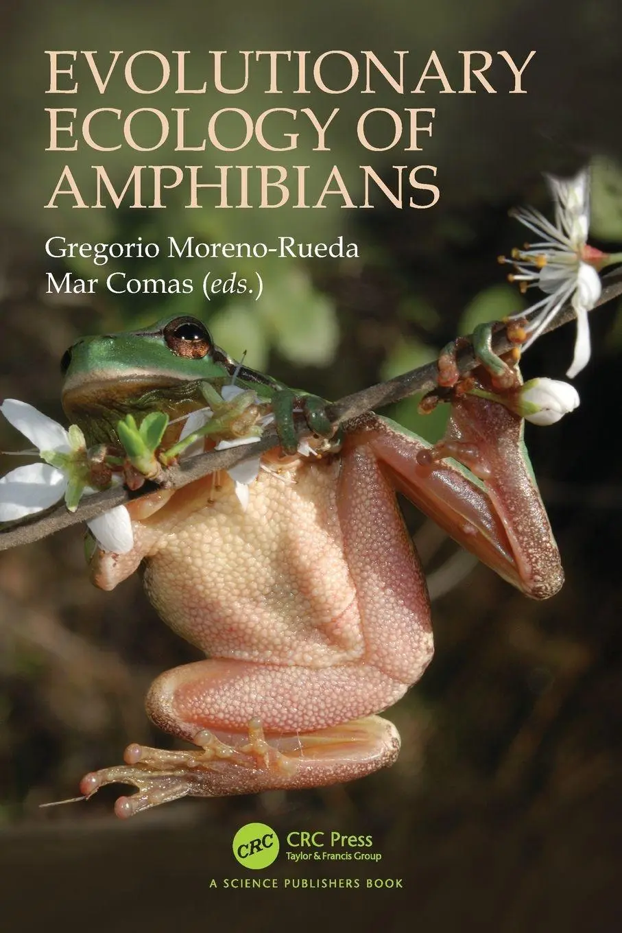 Cover: 9780367553975 | Evolutionary Ecology of Amphibians | Gregorio Moreno-Rueda (u. a.)