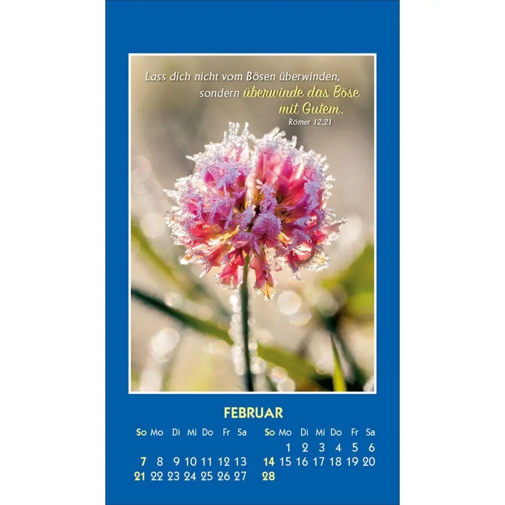 Bild: 9783754893975 | Gottes Wort - Licht für den Tag 2027 | Kalender | Spiralbindung | 2027