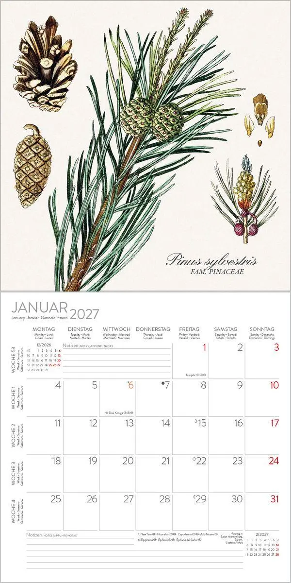 Bild: 9783819303975 | Botanicum 2027 | Verlag Korsch | Kalender | 13 S. | Deutsch | 2027